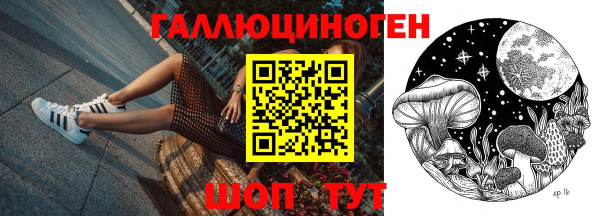 Галлюциногенные грибы мухоморы Иркутск