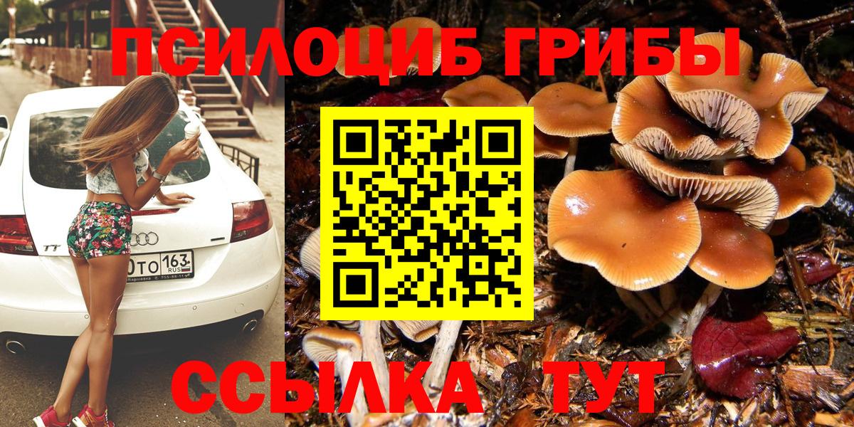 Псилоцибиновые грибы Psilocybine cubensis  Псилоцибиновые грибы Magic Shrooms  Вход с VPN  Иркутск 